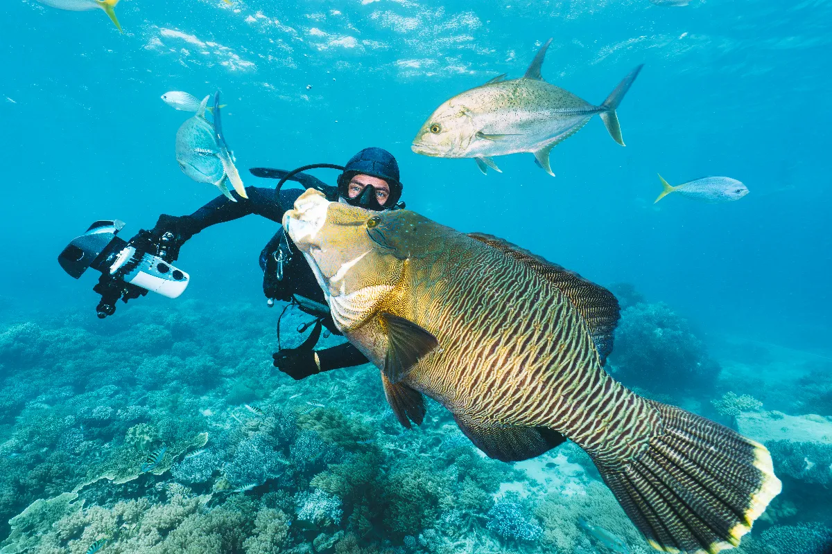 comment-respecter-la-biodiversite-lors-dune-sortie-de-plongee