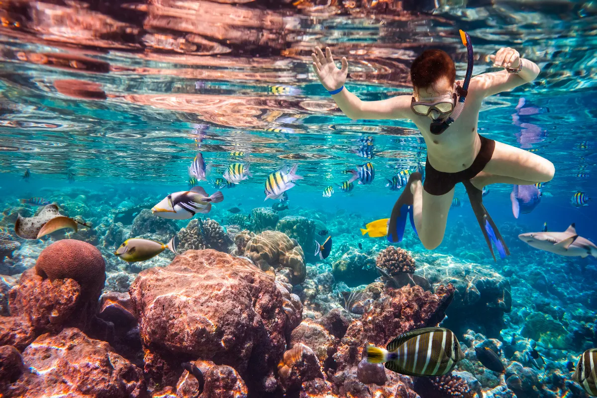 plongee-et-snorkeling-quelles-differences