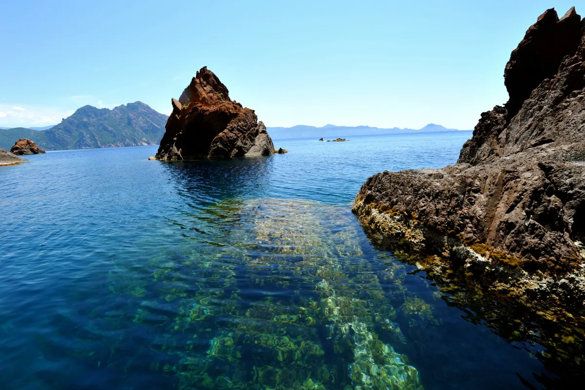 top-5-des-spots-de-plongee-en-france-decouvrez-les-meilleurs-sites-pour-explorer-les-fonds-marins